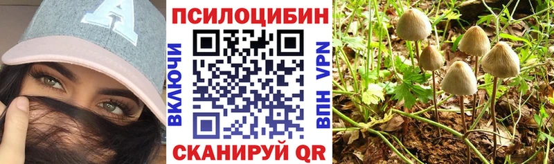 купить наркотики цена  Губаха  Галлюциногенные грибы Cubensis 